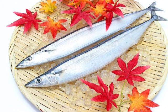 北海道の9月の気候