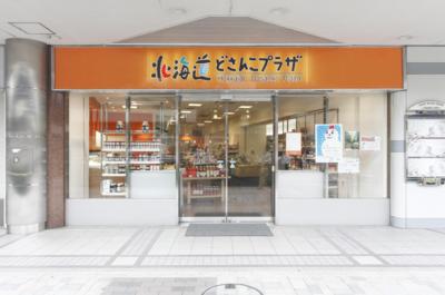どさんこプラザ