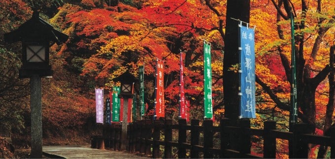 唐澤山神社