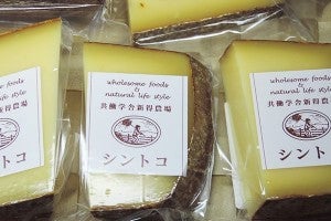 北海道 共働学舎新得農場 チーズ