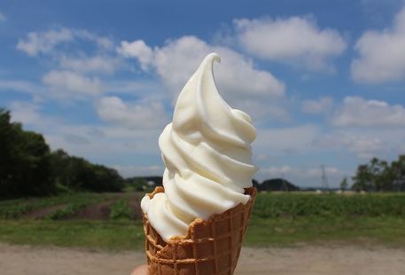 北海道 ソフトクリーム 北海道箱根牧場 牧場のレストラン