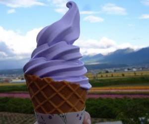 北海道 ソフトクリーム　ファーム富田ソフトクリーム