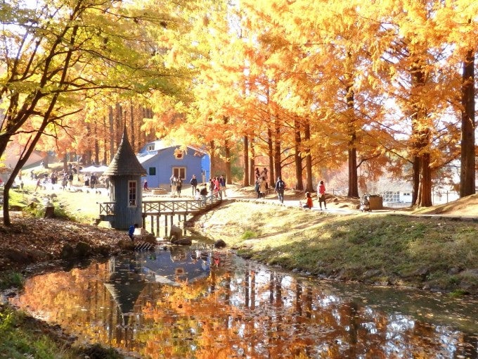 ムーミン谷 紅葉