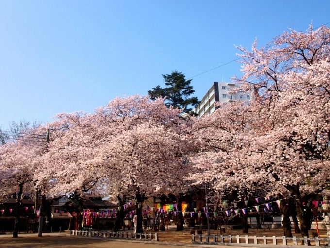 川越 蓮馨寺