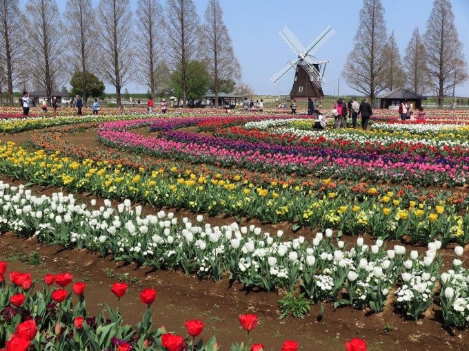 あけぼの山農業公園