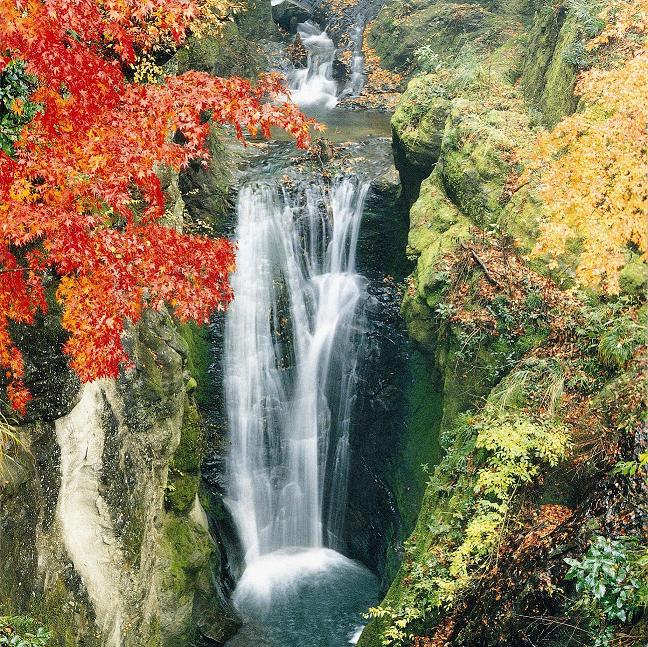 地蔵堂の滝 千葉
