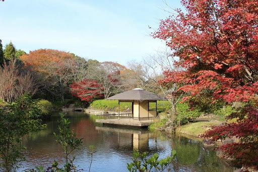 柏の葉公園