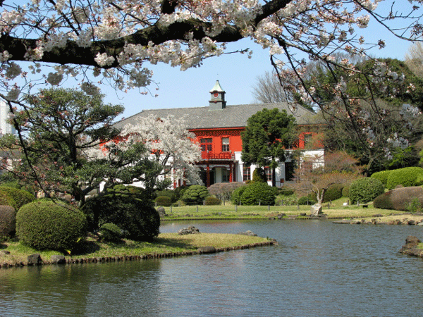 小石川植物園